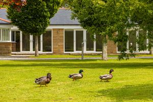 Photo 42- click for photo gallery